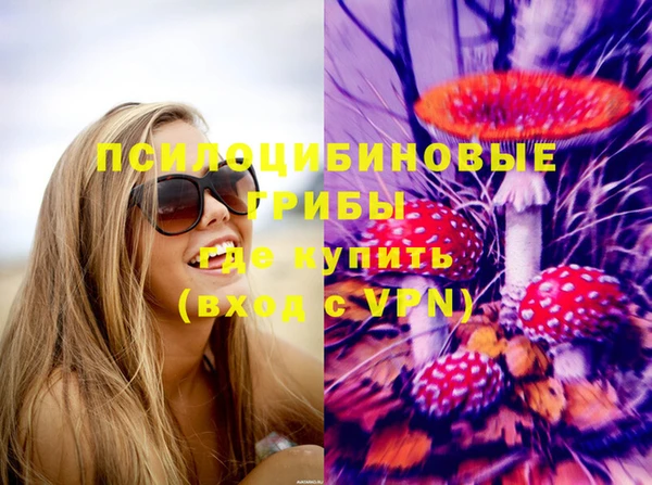 альфа пвп Елизово